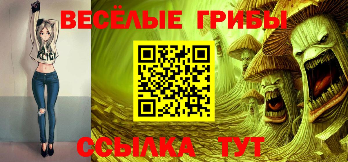 Псилоцибиновые грибы GOLDEN TEACHER  Вход с VPN  Галлюциногенные грибы Magic Shrooms  Железноводск 